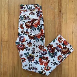 Anthropologie Pilcro Botanical Floral Jeans Size 27